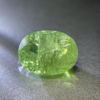 ราคา พลอย ดิเมนทรอยการ์เน็ต (โกเมนสีเขียว) (3037764718)