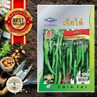 ราคา เมล็ดพันธุ์พริกหนุ่มเขียวหยกสยาม1059 80เมล็ด (5954766976)