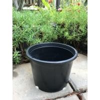ราคา กระถางต้นไม้ 6 นิ้ว สีดำ กระถางปลูกต้นไม้ กระถางพลาสติกกลม เนื้อหนา ทน พลาสติกแข็งแรง (3935299695)