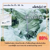 ราคา เมล็ดพันธุ์ เคลเรดไซบีเรียน 250 เมล็ด Red Siberian Kale เคลแดง เคล คะน้า (ซื้อ 10 แถม 1 คละอย่างได้) (21216020637)