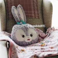 ราคา หมอนผ้าห่ม Stella Lou พร้อมส่ง! (902771766)