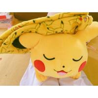 ราคา หมอนผ้าห่มปิกาจู (253516405)