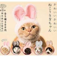 ราคา พร้อมส่ง กาชาปองหูกระต่าย (129346472)