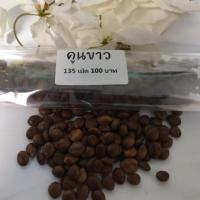 ราคา คูณขาว ต้นเตี้ย 200 เมล็ด (2124241805)