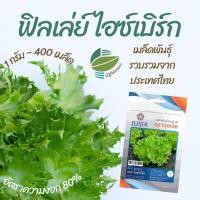 ราคา ฟิลเล่ซ์ ไอซ์เบิร์ก (Frilice Iceberg) #ผักสลัด (14169977445)