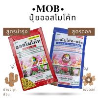 ราคา MOB ปุ๋ยออสโมโค้ท 13-13-13 100 กรัม สูตรบำรุงต้น ปุ๋ยละลายช้า 16-16-16 แบ่งบรรจุ ปุ๋ยแคคตัส มัลติเทค ปุ๋ยกล้วยไม้ (21508068432)