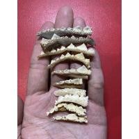 ราคา หางกระเบนชิ้นเล็ก10ชิ้น ได้ทั้งหมด10ชิ้น (19545201275)