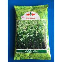 ราคา เมล็ดพันธุ์ผักบุ้งจีนไผ่เงินขนาด 1 กิโลกรัม (7872619613)