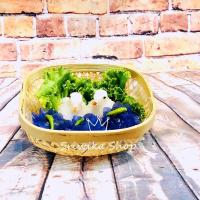 ราคา กระจาด ตระกร้าสาน ตระกร้าไม้ไผ่ ภาชนะใส่อาหาร ตระกร้าสานไม้ไผ่ ทรงสี่เหลี่่ยมจัตุรัส ขนาด 6x6x2นิ้ว (9581275549)