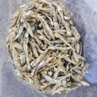 ราคา ปลากระตักหรือปลาจิ้งจั้ง 1 KG. สด ใหม่ ไม่เค็ม (3719542727)