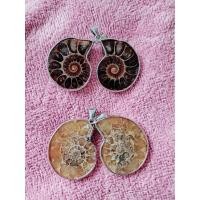 ราคา สร้อยคอ พร้อมจี้ฟอสซิลแอมโมไนท์ธรรมชาติ (23970042071)