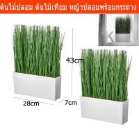 ราคา ต้นไม้ปลอม ต้นไม้เทียม ดอกไม้ประดิษฐ์ หญ้าปลอม พร้อมกระถาง สำหรับตกแต่งบ้าน หรือทำฉากกั้น ขนาด 43x28x7ซม. (2ชุด) (4829275309)