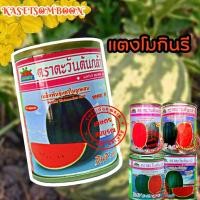 ราคา แตงโมกินรี188, 101, C-28, C-29, เอ็กตร้า 40 ก. เมล็ดพันธุ์ตราตะวันต้นกล้า เแตงโม ลูกใหญ่ (10800247102)