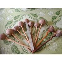 ราคา กระบวยตักน้ำทำจากกะลามะพร้าว น้ำหนัก 100 กรัมด้ามยาว30 ซม. (20741564248)