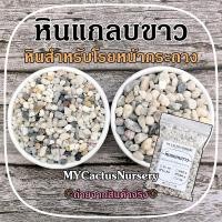 ราคา หินแกลบขาว กรวดแม่น้ำขาว หินโรยหน้ากระถางแคคตัส หินแม่น้ำ หินสีขาว หินโรยหน้ากระถาง หินตู้ปลา หินตกแต่งสวน (12670582678)