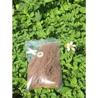 ราคา โกฐจุฬาลัมพา สมุนไพรตากแห้ง สมุนไพรอบแห้ง 50 กรัม ราคา 69 บาท (14302169909)