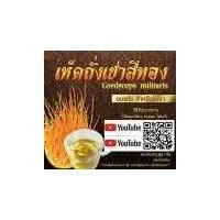 ราคา ถั่งเช่าสีทอง ( เกรดAAA ) ขนาด 50 กรัม อบแห้ง สำหรับชงชา (6836936734)