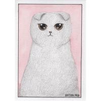 ราคา โปสการ์ดแมว พันธุ์ Scottish Fold (20688668883)