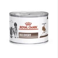 ราคา Royal Canin Recovery 195 กรัม อาหารสัตว์ป่วย พักฟื้น (23248349051)