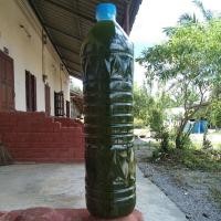 ราคา จุลินทรีย์สังเคราะห์แสงสีเขียว (12329626451)