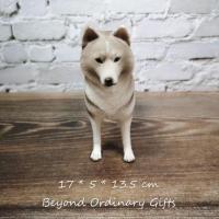 ราคา โมเดลไซบีเรียนฮัสกี้ พร้อมส่ง (Siberian Husky Model)​ (10237149433)