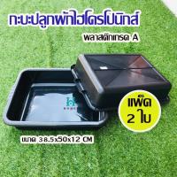 ราคา กระบะปลูกผักไฮโดรโปนิกส์ (แพ็ค 2 ชิ้น) กระบะพลาสติกสีดำ กระบะเพาะเมล็ด กระบะทรายแมว กะบะดำ กระบะใส่ของ ใส่น้ำได้ (10201797147)