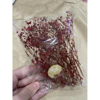 ราคา ดอกไม้แห้ง ดอกยิปโซแห้งสีแดง (5384512408)