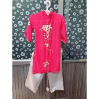 ราคา ชุดเวียดนามเด็กหญิง ชุดอาเซียน มือสอง สภาพดี (21785118810)