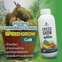 ราคา แคลเซียมโบรอน ธาตุอาหาร รองธาตุ อาหารเสริม ปุ๋ยธาตุอาหารรอง-เสริม แคลเซียมโบรอน1ลิตร ธาตุอาหารรอง (สำหรับต้นทุเรียนใหญ่) (19576606958)