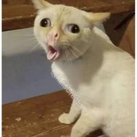 ราคา ตดเหม็นๆๆๆๆๆๆๆๆๆๆๆๆๆๆ (20476523985)