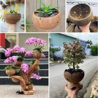 ราคา กะลามะพร้าวสําหรับปลูกต้นไม้ กะลามะพร้าว (21105722017)