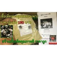 ราคา เชื้อเห็ดฟาง พร้อมอาหารเสริมเห็ด +ปุ๋ย 10ก้อน (3124715854)