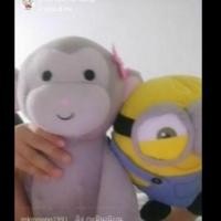 ราคา ตุ๊กตาลิง/มินเนี่ยนเป็นลูกบอล มือ2ราคาเฉพาะในไลฟสด (6435962022)