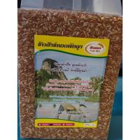 ราคา ข้าวสังข์หยดและข้าวสังข์หยดกล้อง เมืองพัทลุง (6415950024)