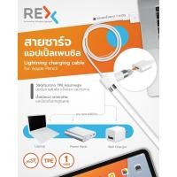 ราคา REX สายชาร์จ Apple pencil (5675539457)