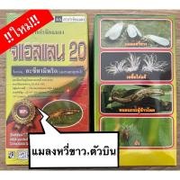 ราคา จีแอลแลน20 อะซีทามิพริด กำจัดเพลี้ยไฟ,แมลงหวี่ขาว,หนอนชอนใบ,บั่ว,เพลี้ยไก่แจ้,เพลี้ยกระโดดสีน้ำตาล (11232453357)