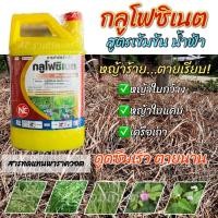 ราคา กลูโฟซิเนต กลูโฟซิเนต-แอมโมเนียม (สูตรเข้มข้นน้ำฟ้า) ยาฆ่าหญ้า ยาฆ่าหญ้ากลูโฟซิเนต สารกำจัดวัชพืชใบแคบและใบกว้าง 4 ลิตร (23071764607)
