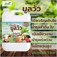 ราคา น้ำหมักชีวภาพมูลวัว ขนาด 5 ลิตร สูตรเข้มข้น น้ำหมักขี้วัว มูลวัว ปุ๋ยน้ำ จานด่วน สำหรับพืช อินทรีย์ชีวภาพ หมัก em คุณภาพ (21919555510)