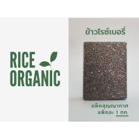 ราคา ข้าวไรซ์เบอรี่ ข้าววปลอดสารพิษ ข้าวใหม่ (4517537099)