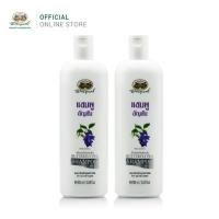 ราคา อภัยภูเบศร แชมพูอัญชัน (3337499953)