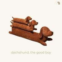 ราคา (marihaus.) หมอนรูปหมา dachshund, the good boy (5393197798)