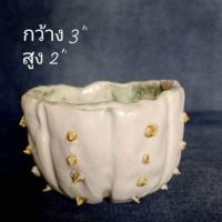 ราคา กระถางเซรามิกส์แฮนด์เมด ทรงแคคตัส #กระถางเซรามิก #กระถางต้นไม้ #กระถางแคคตัส (10704473172)