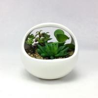 ราคา สวนแคคตัสปลอม กุหลาบหินปลอมจัดในตะกร้าเซรามิค (3341377175)