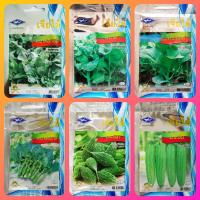 ราคา เมล็ดพันธุ์ผัก เจียไต๋ ผักซอง 8 บาท คะน้าเห็ดหอม คะน้าใบ คะน้ายอด คะน้าฮ่องกง มะระขี้นก มะระจีน (7232384601)