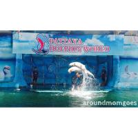 ราคา บัตรเข้าชมโลมาโชว์ Dolphin Show Ticket (1975663155)