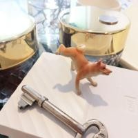 ราคา หมา ชิบะ จอมของของ กาจาปองญี่ปุ่นแท้ (2516528493)