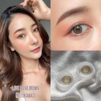 ราคา คอนแทคเลนส์✨ขนาดมินิ ✨Brown✨Mini lady (Kitty kawaii) (23829528450)