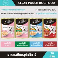 ราคา Cesar Pouch อาหารเปียกสุนัข วัยโตเต็มวัย อาหารสุนัขเปียก ซีซ่า ช่วยให้สุขภาพแข็งแรง บำรุงขนให้เงางาม ขนาด 70 กรัม (19913666552)