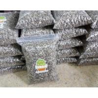 ราคา เมล็ดต้นอ่อนทานตะวัน 2 แบบ เมล็ดลายไทย และ เมล็ดดำนำเข้า ต้นอ่อน ต้นอ่อนทานตะวัน เมล็ดทานตะวันงอก (2331899040)