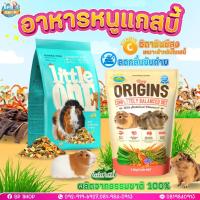 ราคา (BP Pets) อาหารหนูแกสบี้ พรีเมียม อาหารหนูเควี่ Little one อาหารแกสบี้ อาหารสัตว์เล็ก (22820436502)